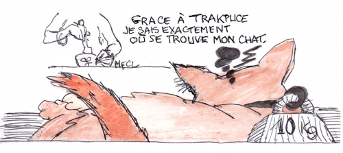 Trakpuce collier chat.jpg