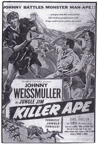 bd jim la jungle,johnny weissmuller,cinéma les bourbons montluçon,cinéma les variétés montluçon,tarzanide du grenier,bandes dessinées de collection,bar zing,montluçon