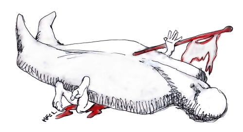 iran,régime mollahs fin,régime mollah guerre contre starlink,mollahs islam,charia