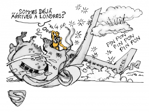 boing,crash en inde,255 morts,1 rescapé