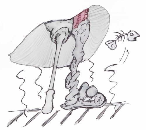 Maryline Monroe.jpg
