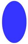 Ovale-bleu.jpg