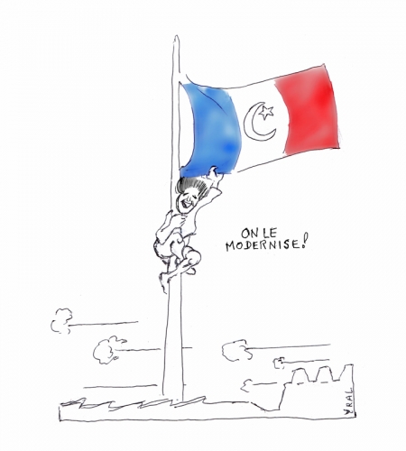 Lyon-drapeau-français.jpg
