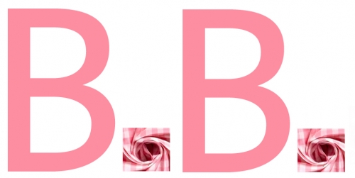 BB lettrage vichy.jpg