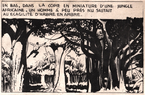 hitler,goering,tarzan,editions mondiales del duca,thorwald,ubermensch,bandes dessinées de collection,bar zing,tarzanides