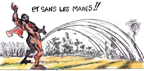 Incendies appel à l'armée.jpg