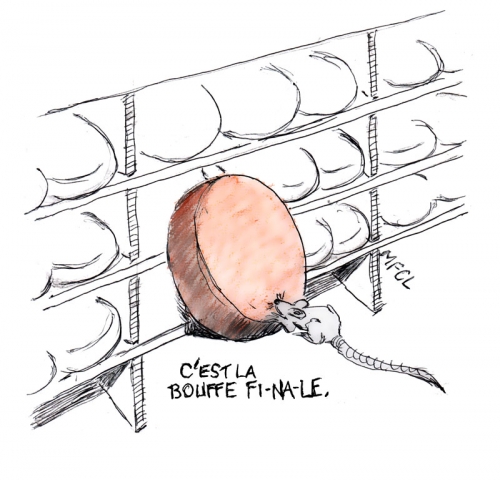 Comté-écologie.jpg