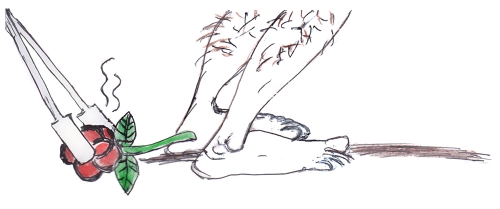 Toulouse alliance PS LFI.jpg