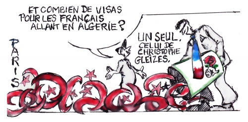 Macron visas français accordés.jpg