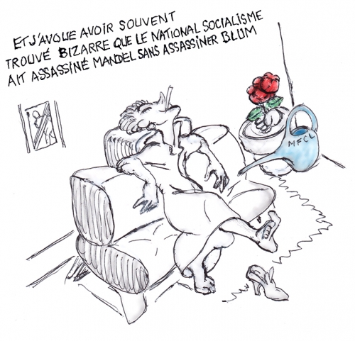 elisabeth badinter,mandel sfio,léon blum,himmler
