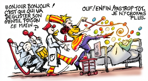 euthanasie,droit sur l'aide à mourir,fin de vie,soins palliatifs