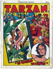 Tarzan,bd,bande dessinée,bd ancienne,illustration,dessin