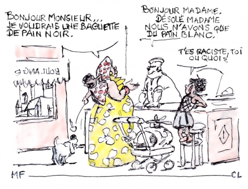 Les-décolonisés-en-France.jpg
