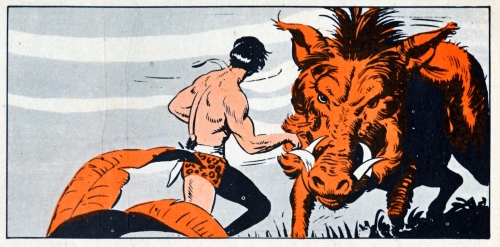 BD-Tarzan,-1956.jpg