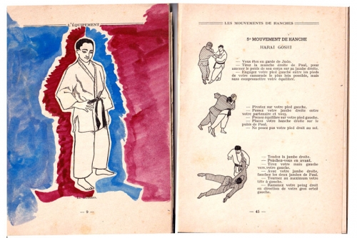 teddy riner,judo harai goshi,le judo d’andré lehnert éditions flammarion,tarzanide du grenier,bandes dessinées de collection,bar zing,montluçon