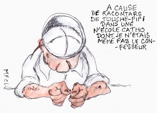 Bayrou chute G.jpg
