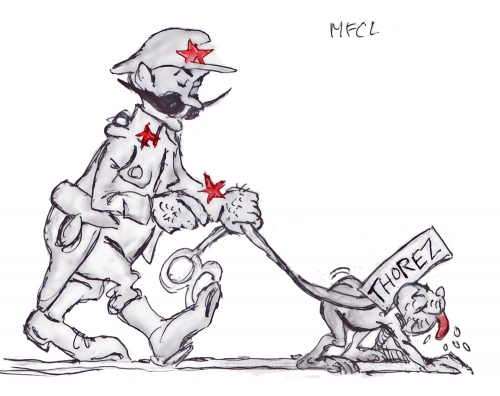 Chiens-disparus.jpg