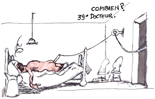 Hantavirus en France.jpg
