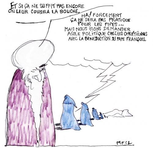 talibans,femmes afghanes : motus et bouche cousue,magazine "elle" 2024,chékéba hachemi